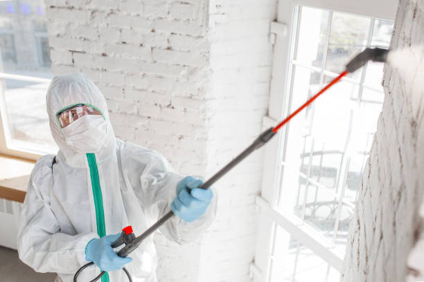 Mold Remediation for Vacation Homes